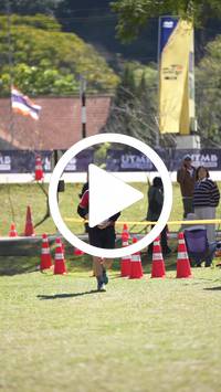 BIB:  <button type="button" onclick="openModal(26580454)" class="btn btn-primary btn-sm float-right" data-toggle="modal" data-target=".modal-high-quality">
                <i class="fa fa-download"></i> Download
                </button>